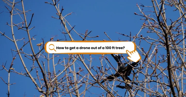 How to get a drone out of a 100 ft tree: Expert Techniques and Tips